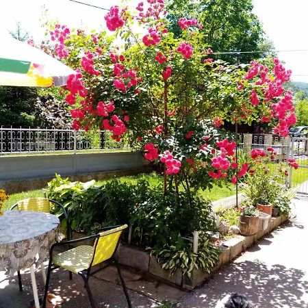Apartman Vesna Ovcar Banja Zewnętrze zdjęcie