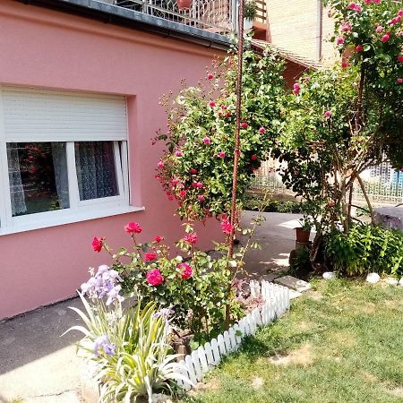 Apartman Vesna Ovcar Banja Zewnętrze zdjęcie