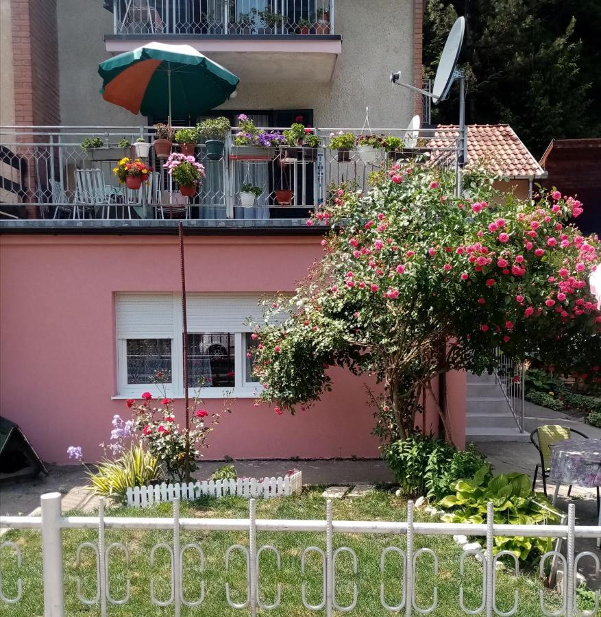 Apartman Vesna Ovcar Banja Zewnętrze zdjęcie