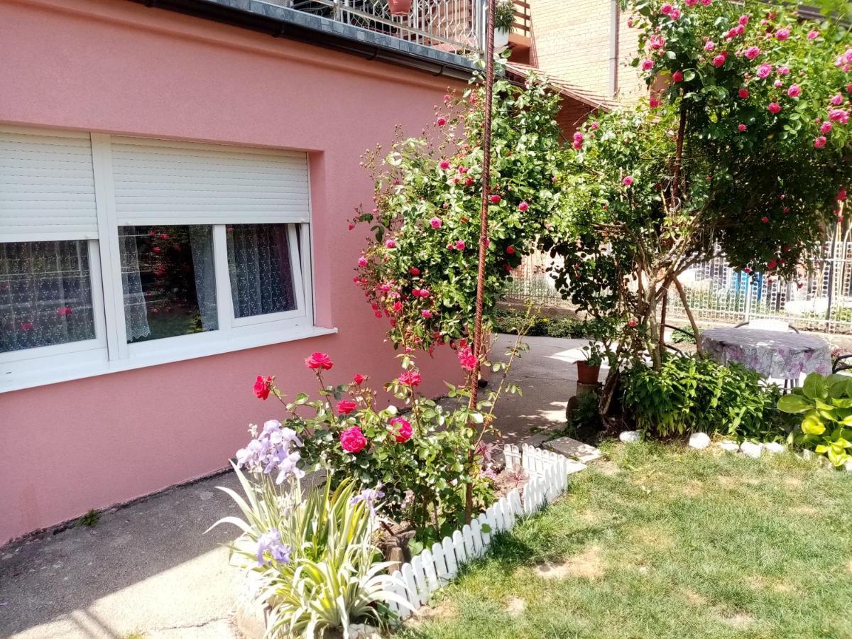 Apartman Vesna Ovcar Banja Zewnętrze zdjęcie